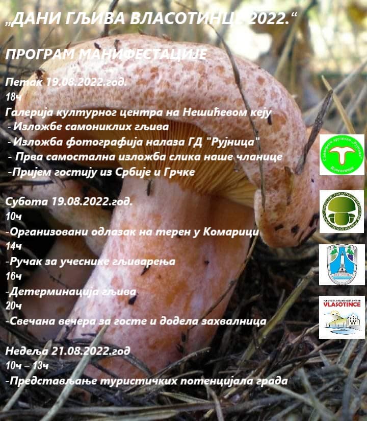 vlasotince.jpg